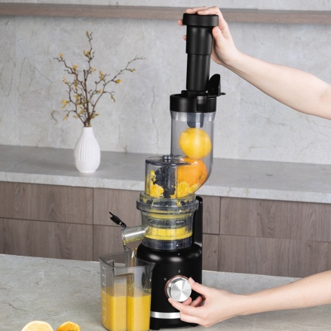 Sokowirówka 300W BerlingerHaus BH-9610 Black Rose